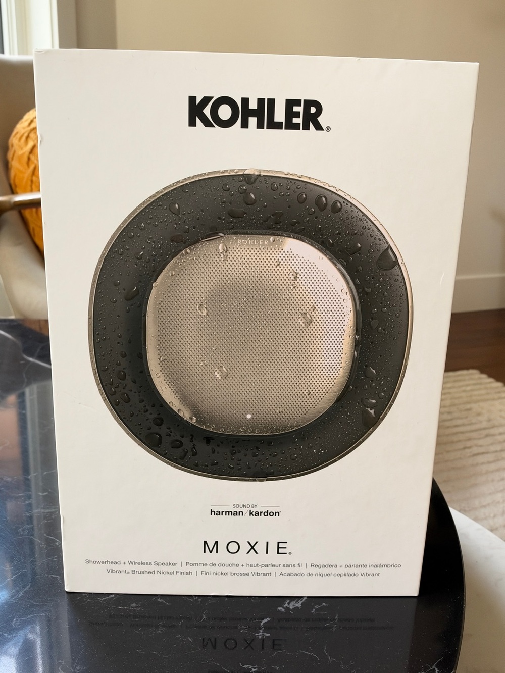 Moen Black and Brushed Nickel Shower Speaker Showerhead
